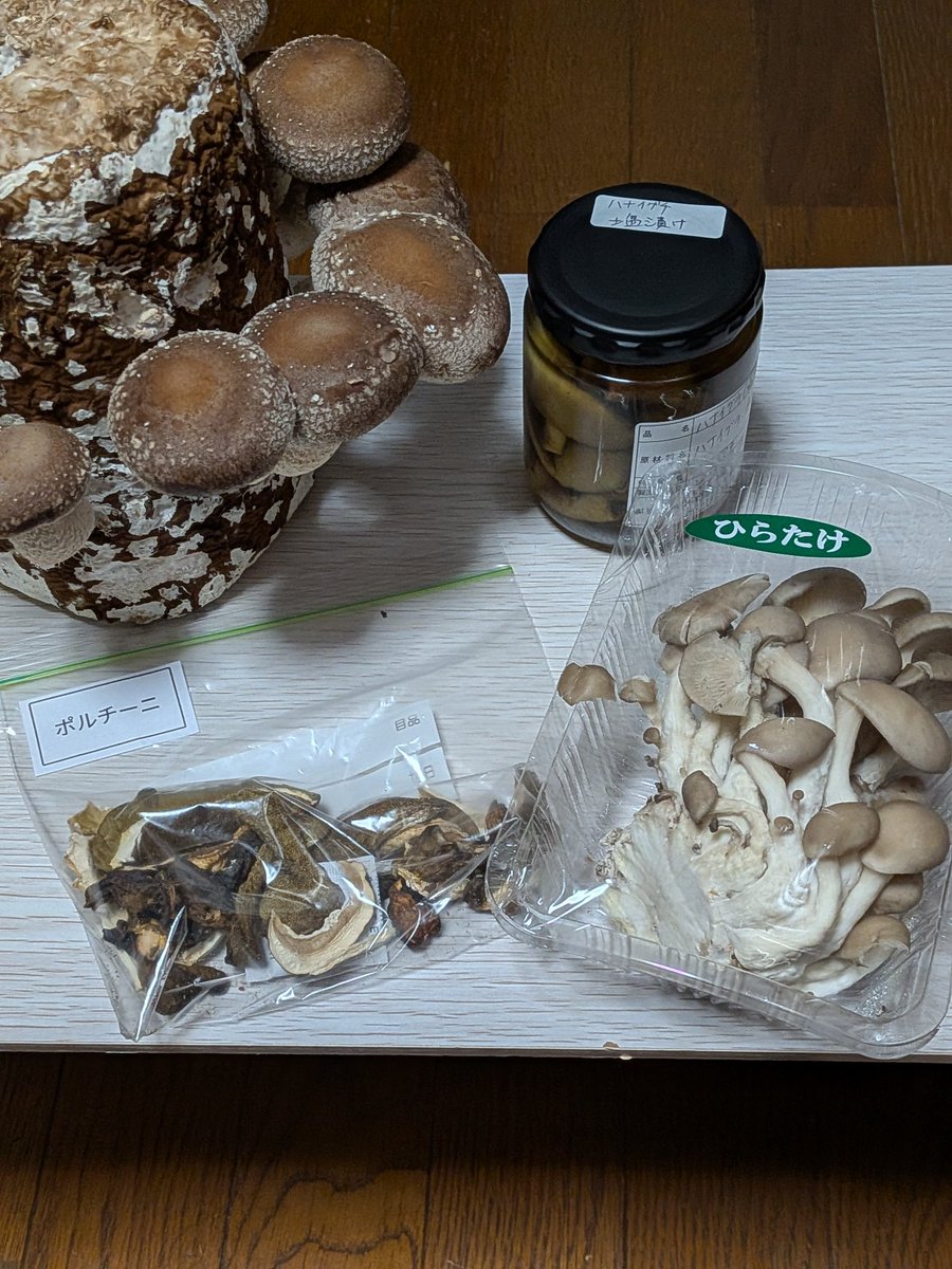 ヨコハマきのこ大祭の戦利品たち。
購買欲が満たされた✨️