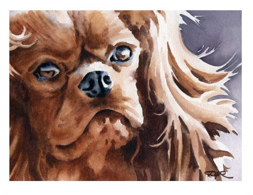 CAVALIERS IN ART: “Ruby cavalier King Charles spaniel”, by David J. Rogers (American, contemporary).
davidjrogersart.com
cavalierhealth #cavaliersinart #thedoginart
