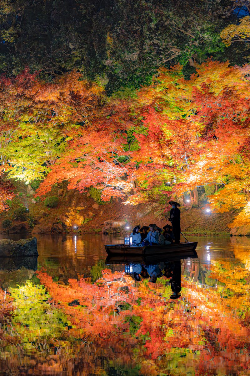 秋を見つける船旅