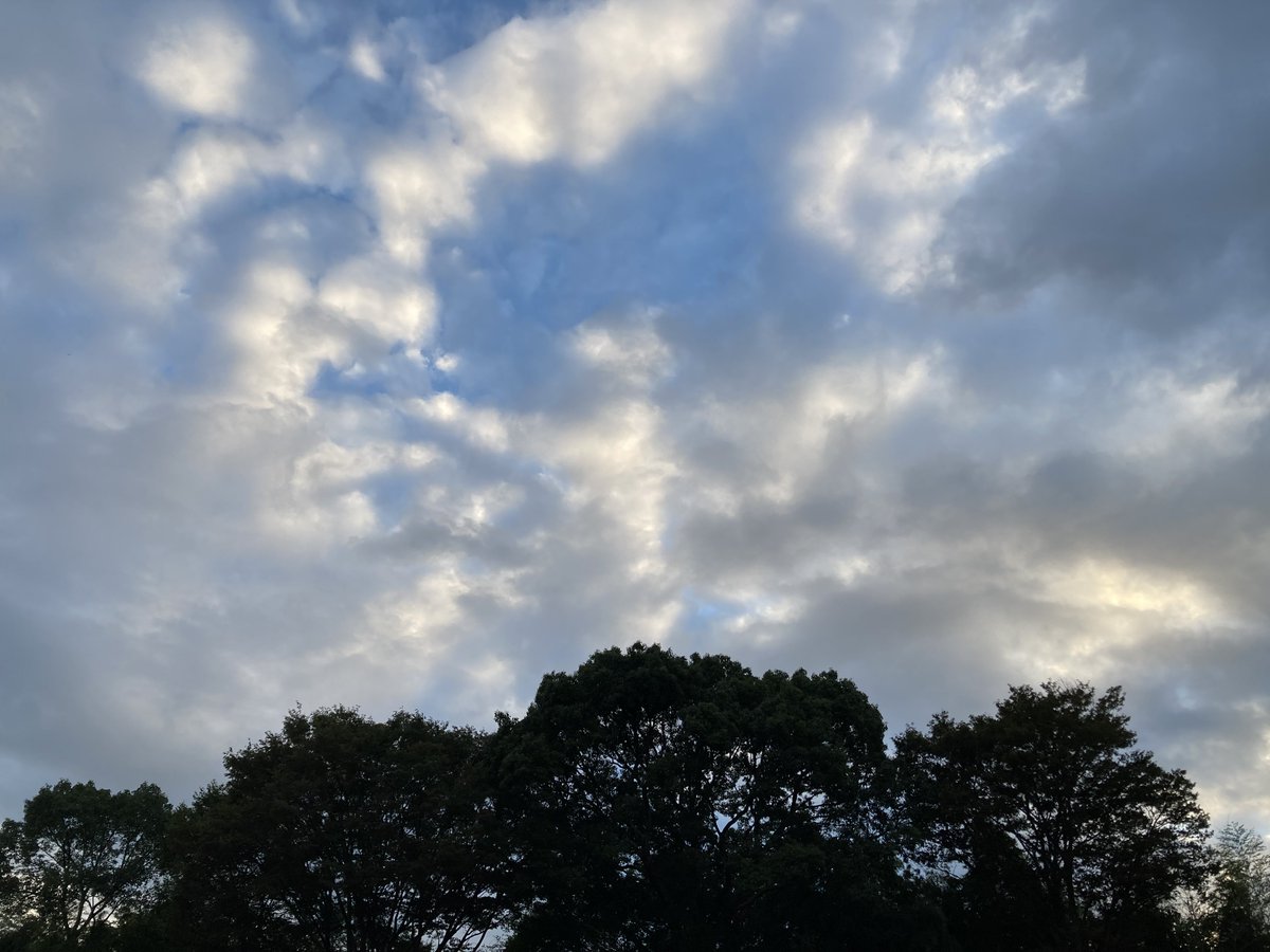 _favorite_1998's tweet photo. いつの間にやら、山口は、私の心の休息所のようになっている、と気づかされました。高校生の時分から、中也さんに手をひかれて歩いてきた人生でしたが、しばらくは厄介になりそうです。これからもよろしくお願いします。いつも、本当にありがとうございます。 https://t.co/Zf193jExuK