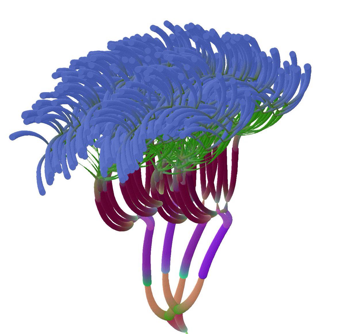 KirillPant21801's tweet image. #generativeart #programingisfun #digitalgarden