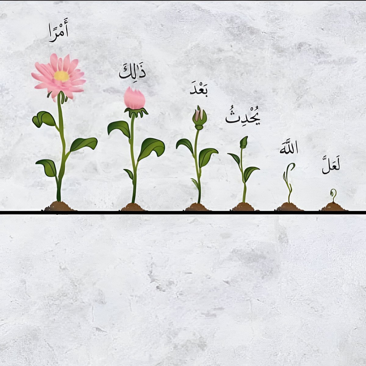 تفاصيل شرقي (@osloccc) on Twitter photo 