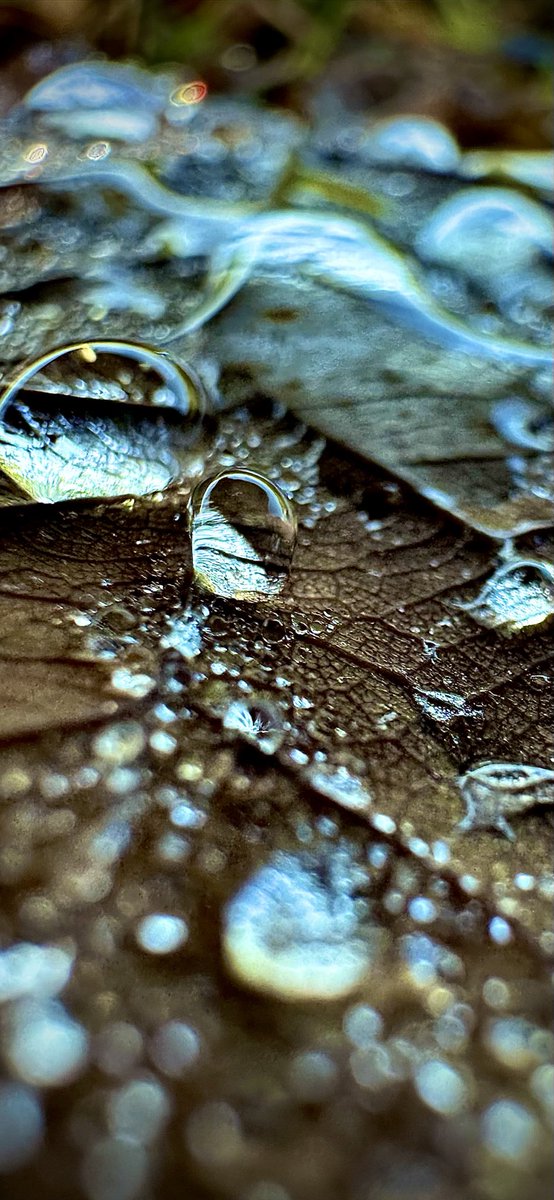 #hardlopen #running 🏃‍♂️herfstparels 🤩