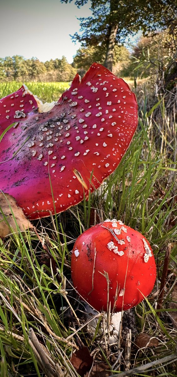 #hardlopen #running🏃‍♂️