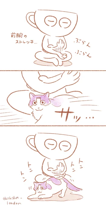 ねこ 