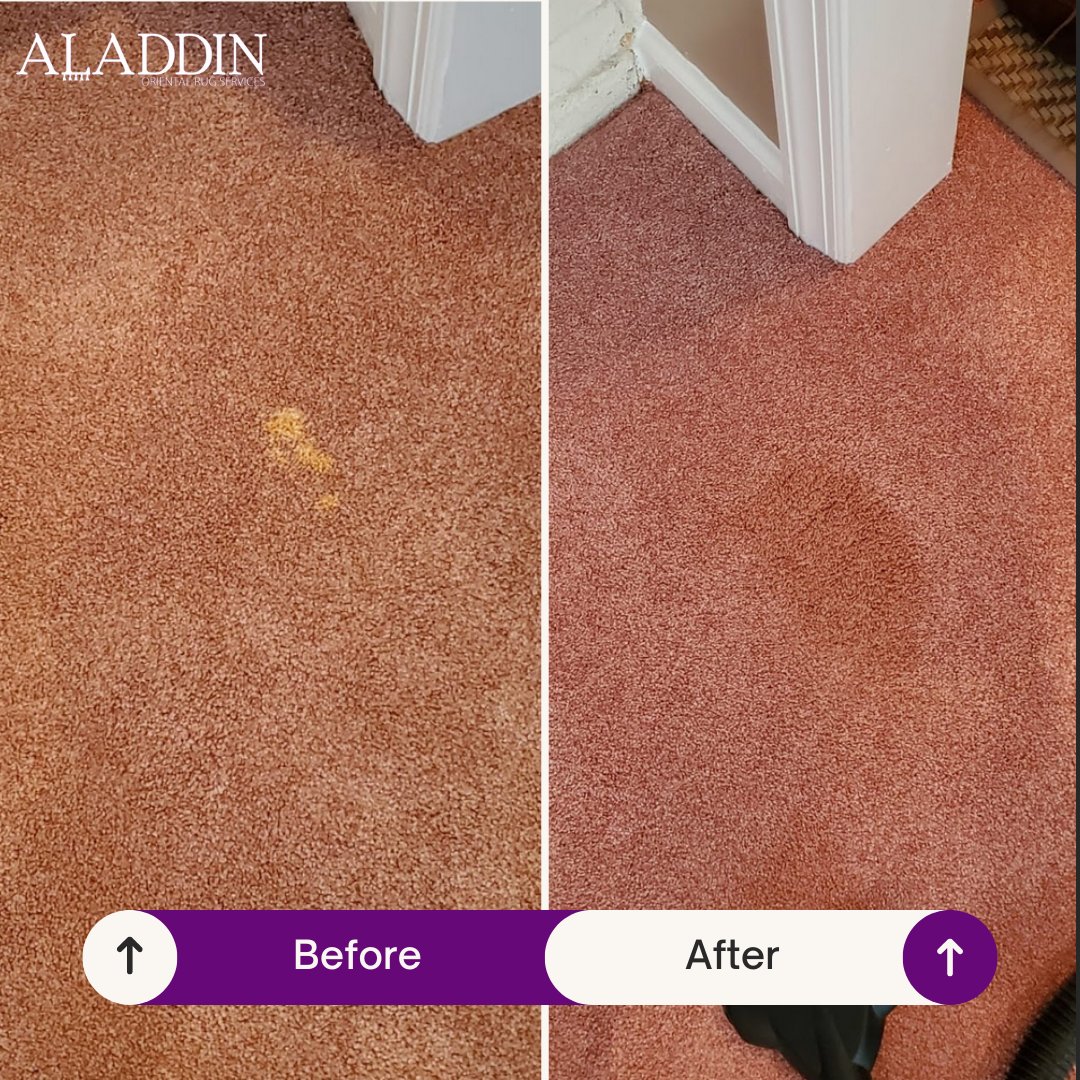 AladdinRugClean's tweet photo. Watch those bleach stains disappear! Professional results by Aladdin Oriental Rug Services.
https://t.co/LQaOXKnc5D 732-456-5511

#CarpetCleaning #StainRemoval #NJCarpetCare #NJCarpetCleaning #RugCleaning #NJRugCleaning https://t.co/gzvingwPmJ