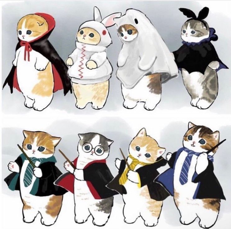 かずっち🐣🌱 (@o_owwwkey) / Posts / X