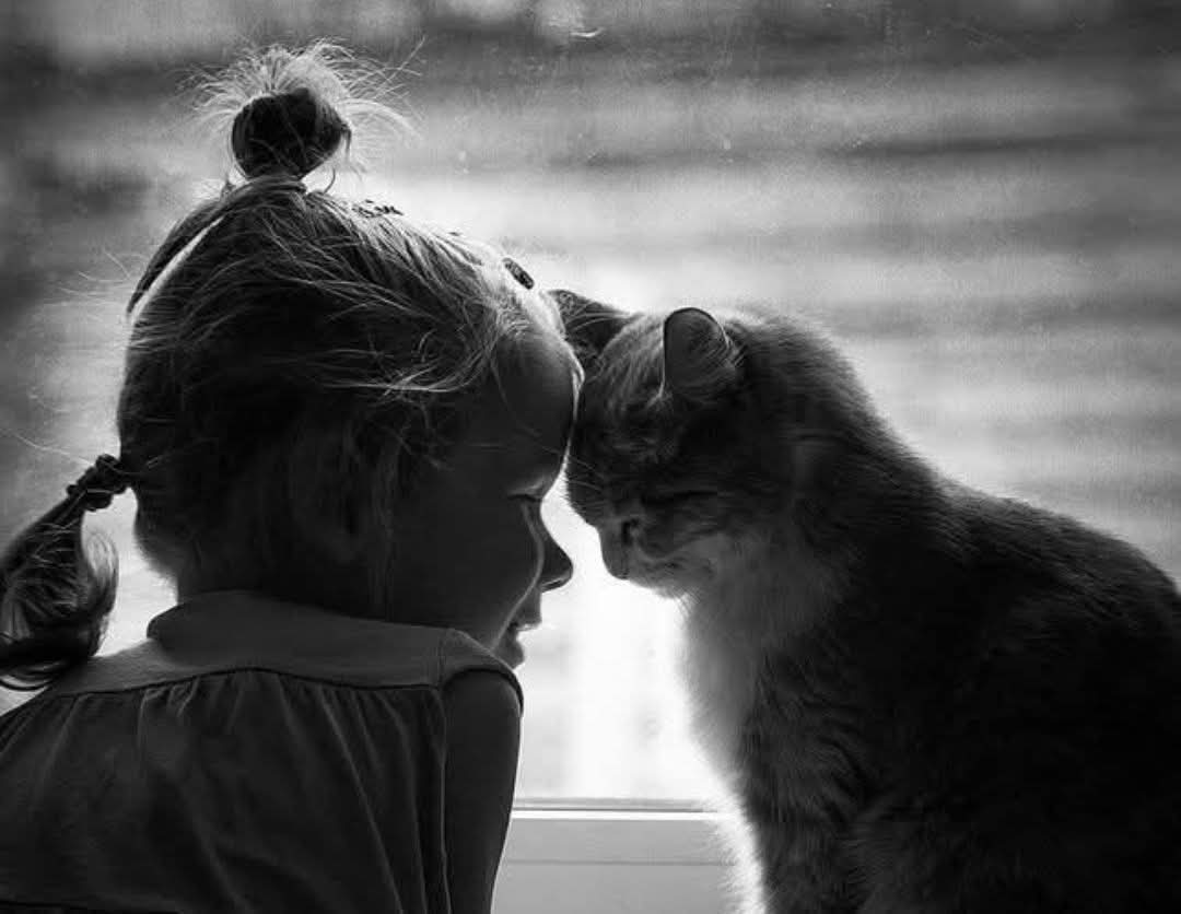 itx_Haider8's tweet image. شُکر گُزار رہیں اُن لوگوں کے جنہوں نے دو ٹوک الفاظ میں آپکی مُحبّت&apos; کو اِنکار کیا&quot; نہ کہ آپکے ساتھ مُحبّت&apos; کی اداکاری کی۔❤️‍🩹