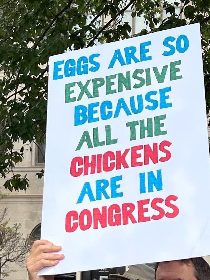 iamAtheistGirl's tweet image. #NoKings