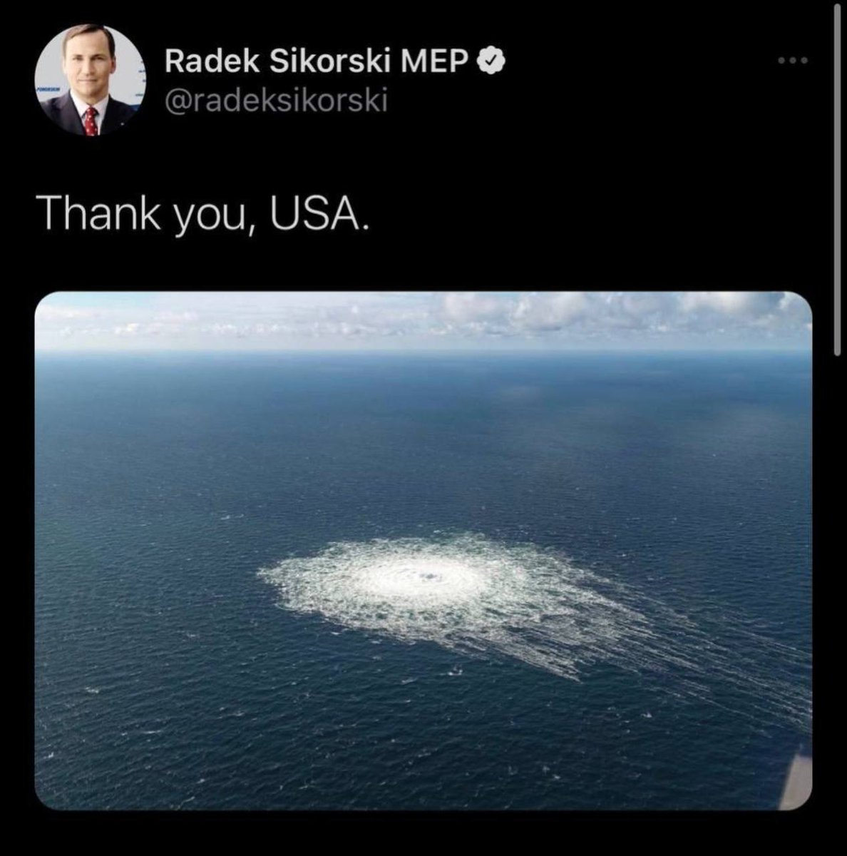 Tweet media one
