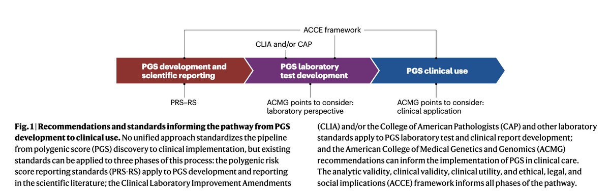 Polygenic scores (PGS) have been developed for years, yet few are close to clinical use.

Prostate cancer PGS is among the most advanced, with trials now evaluating clinical utility.

A nice weekend read on the path to translation, with implications for other disease areas.