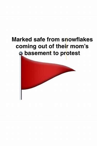 #NoKingsOct18 #NoKingsDayOct18th #snowflakes