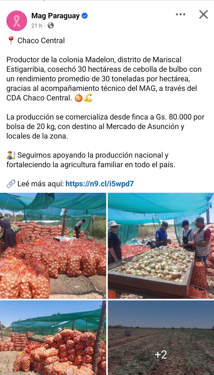 HectorTetpy's tweet image. Aumenta y se diversifica la producción en el Chaco . En los próximos años será uno de los motores del desarrollo del Paraguay