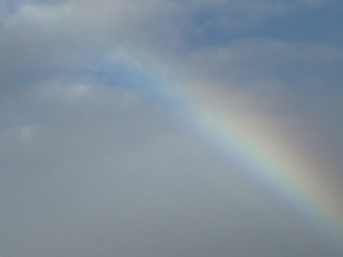 とよフェス最高でした👍