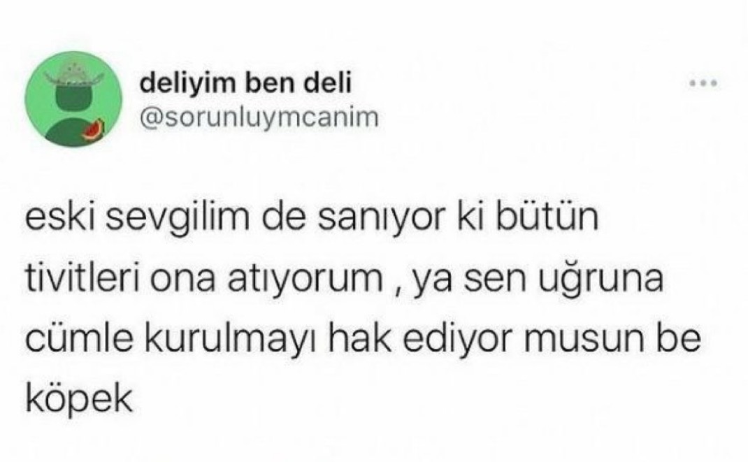 Alnı Öpülesi Tivitler (@alniopulesitivt) on Twitter photo 