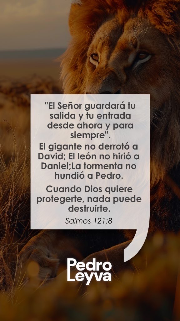 Pedro_Leyva's tweet photo. El señor guardará tu salida y tu entrada desde ahora y para siempre 🦁🙌🏻 

#Dios #felizsábado https://t.co/URdiKZx6UW