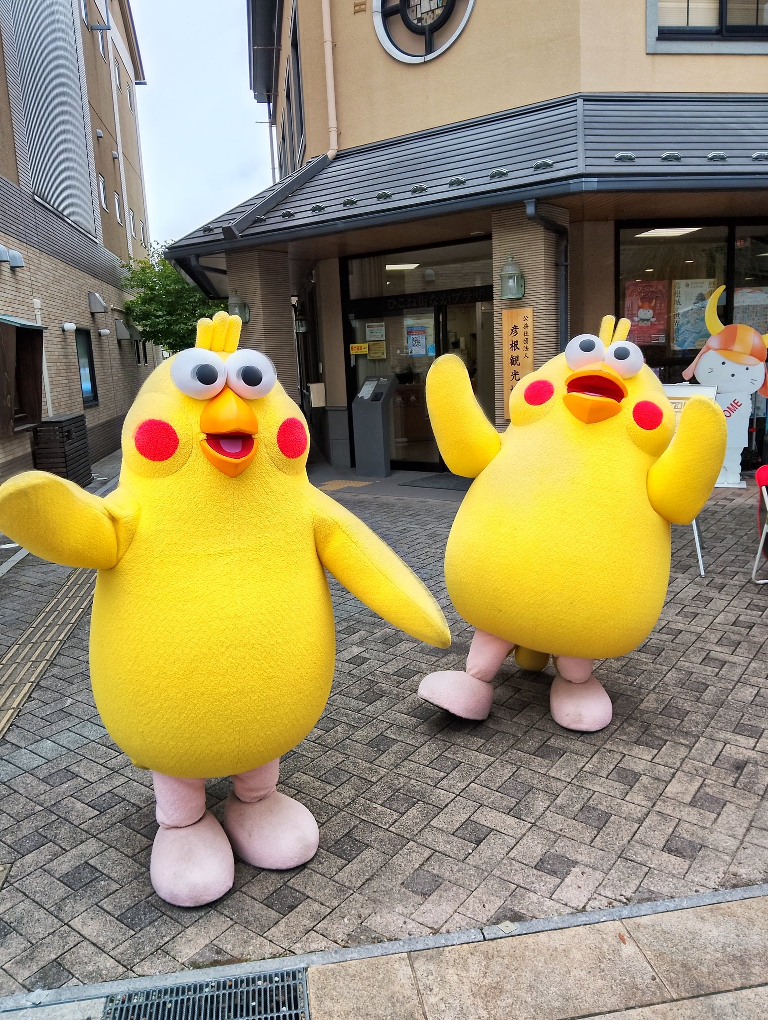ぽいんこ ポインコの世界を覗いてみよう！
