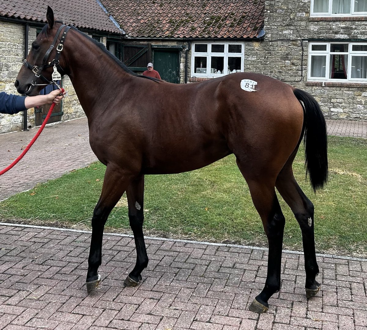 Martyn MacLeod tweet media