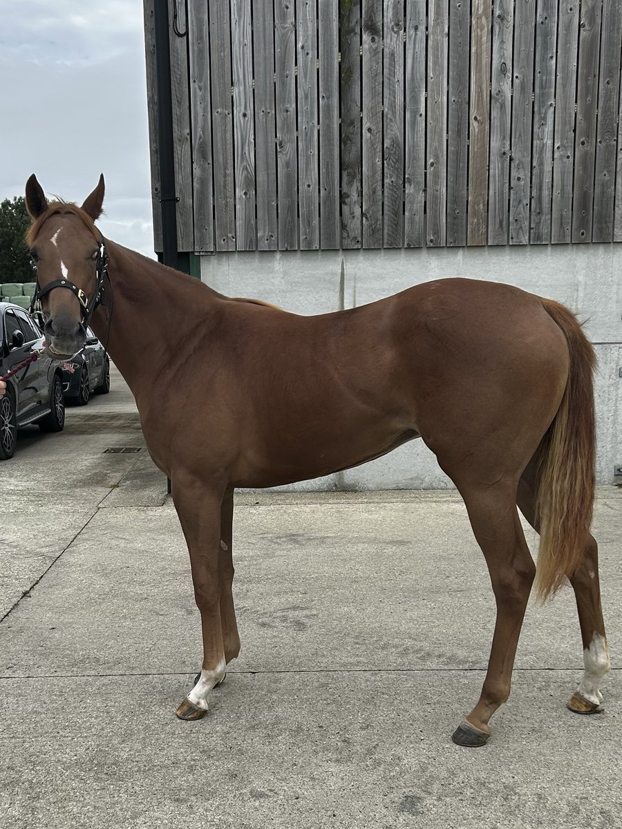 Martyn MacLeod tweet media