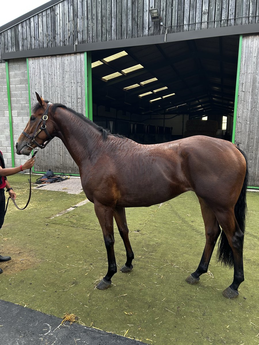 Martyn MacLeod tweet media