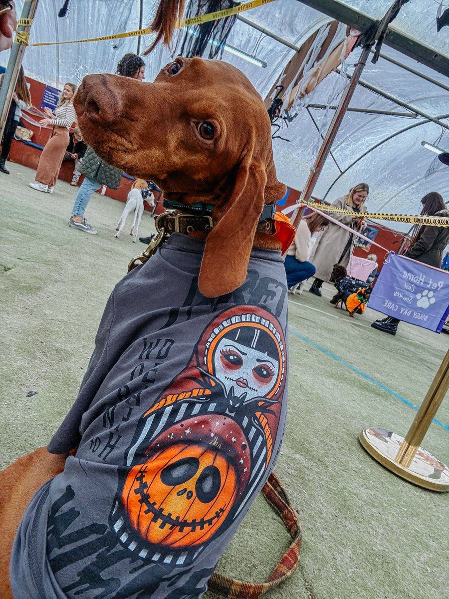 Vickilicious | Cute & Creepy Gang tweet media