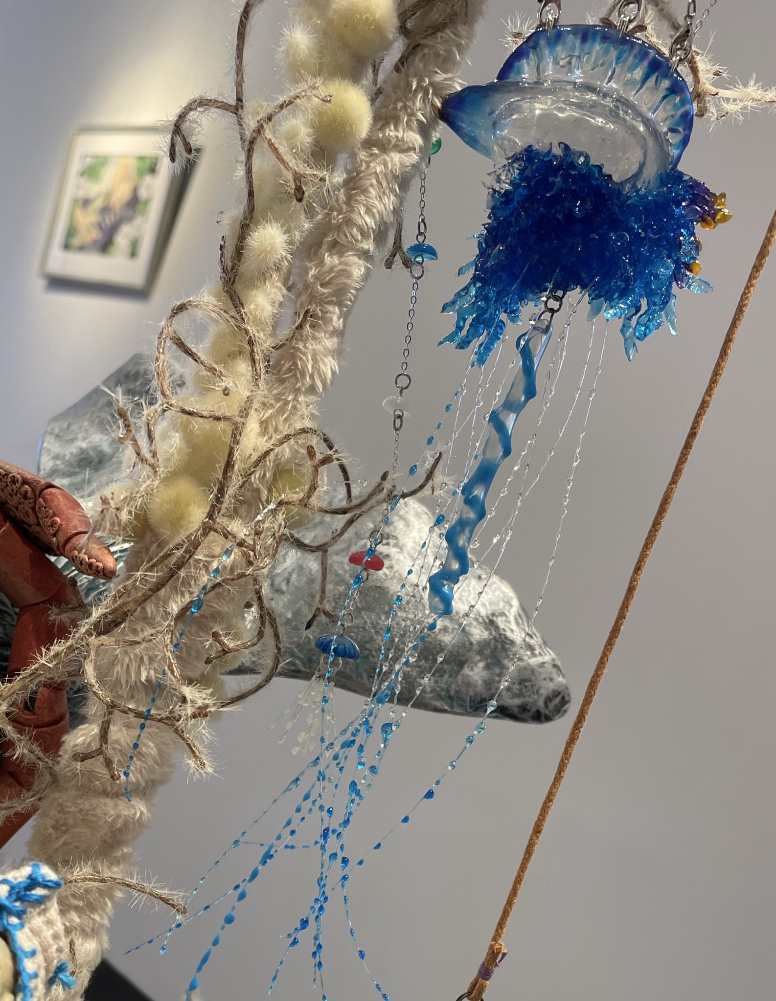 １１月ヒカゲノカズラ　　　　　　 お問い合せページ Topics