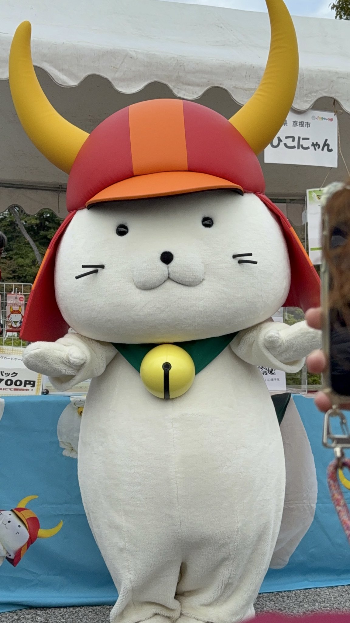 ひこにゃんさん専用 panzaki9 on X: 