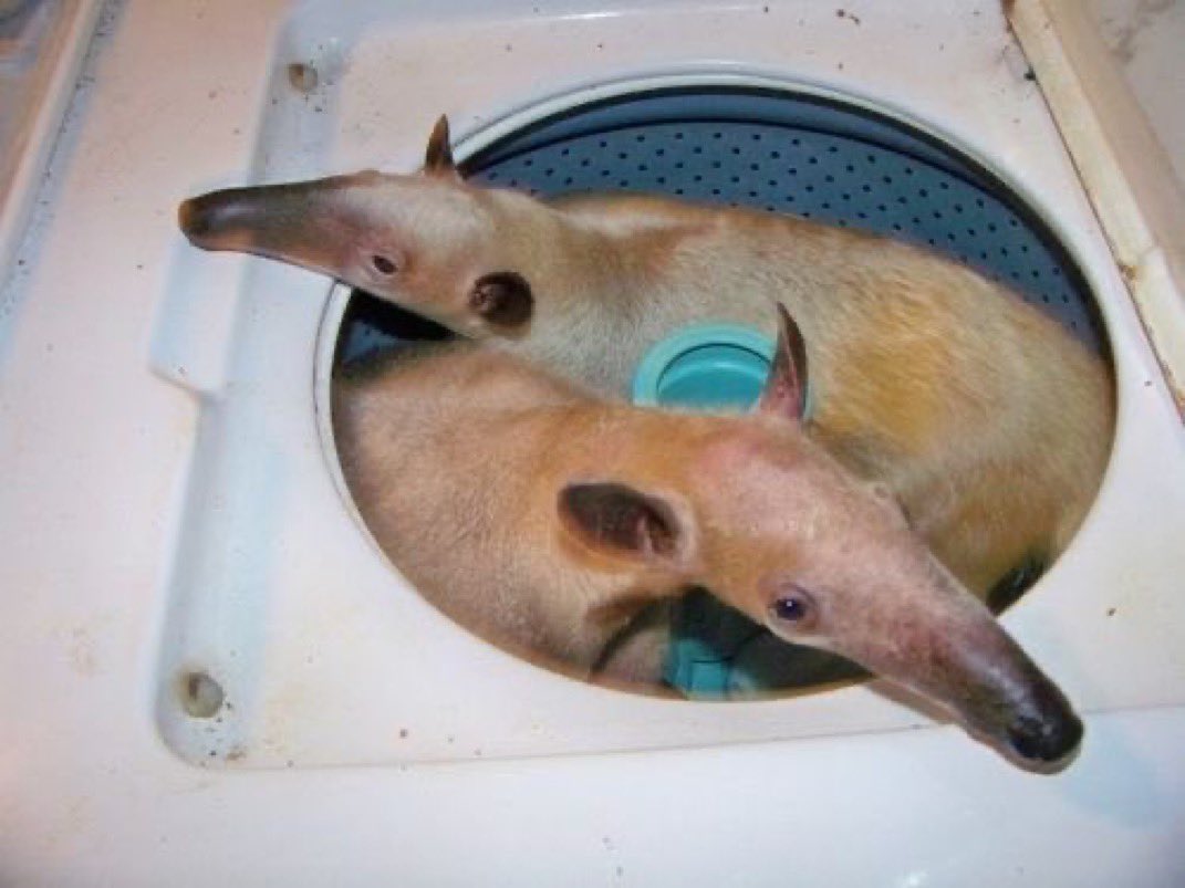 Filthy filthy filthyyy. In the wash now