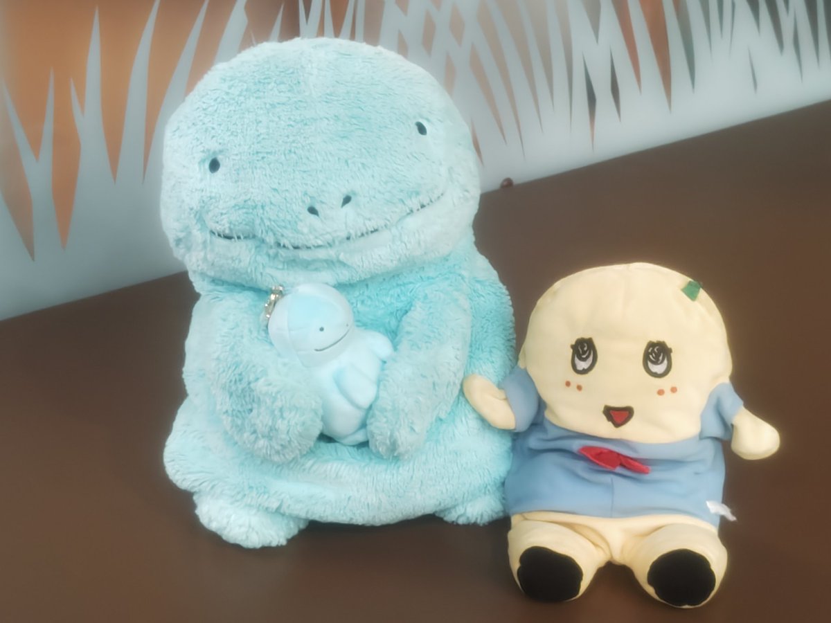 ヤドンのお宿にいたチビぬおちゃん🩵
とっても可愛かったので家族にお迎えしましたぬ🍀(˙𐃷˙)
新たに子分が増えて嬉しそう❣️

#ヌオー
#ふわぬお
#ヌオーのいる生活
#ポケモン
#ポケぬい
#ぬい活
#ぬい撮り
#ぬいぐるみの時間