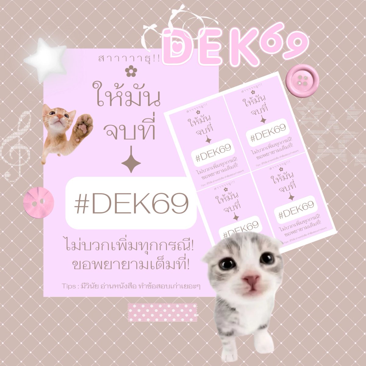 ⋆˚✿˖ maywa tweet media