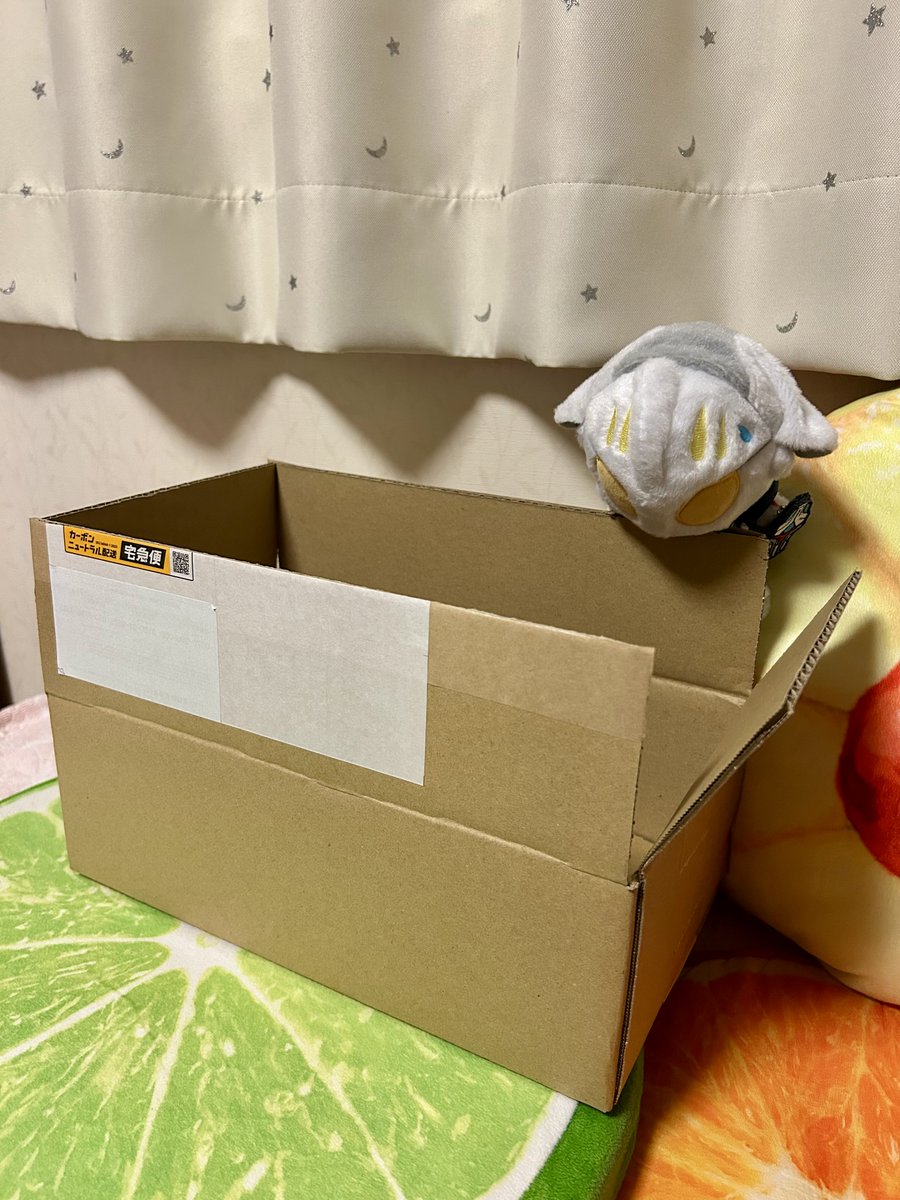 curegrey's tweet image. 