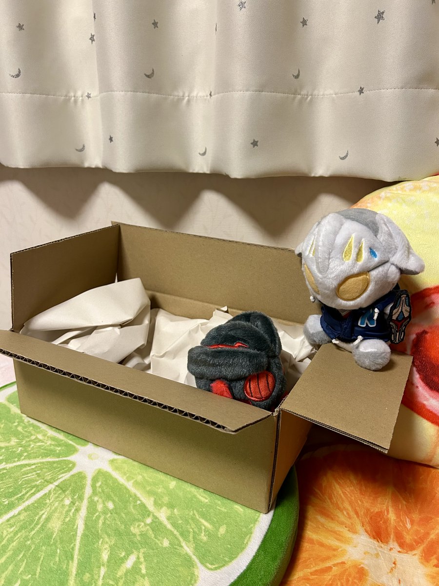 curegrey's tweet image. 