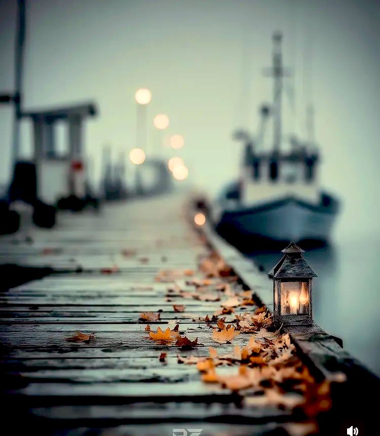 TNilgunnn's tweet image. 