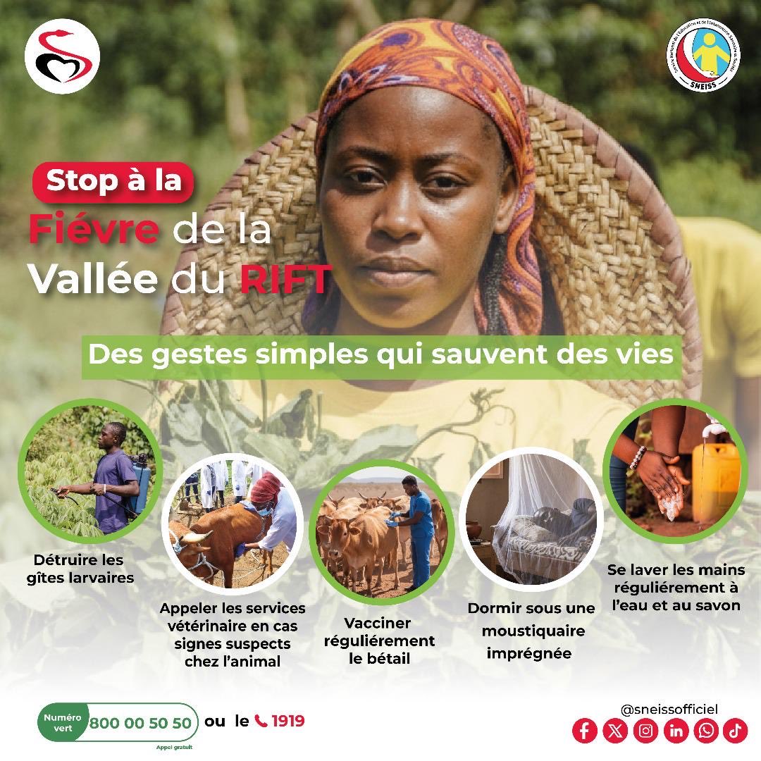 🇸🇳Abdou Touré🏆⭐️⭐️ tweet media