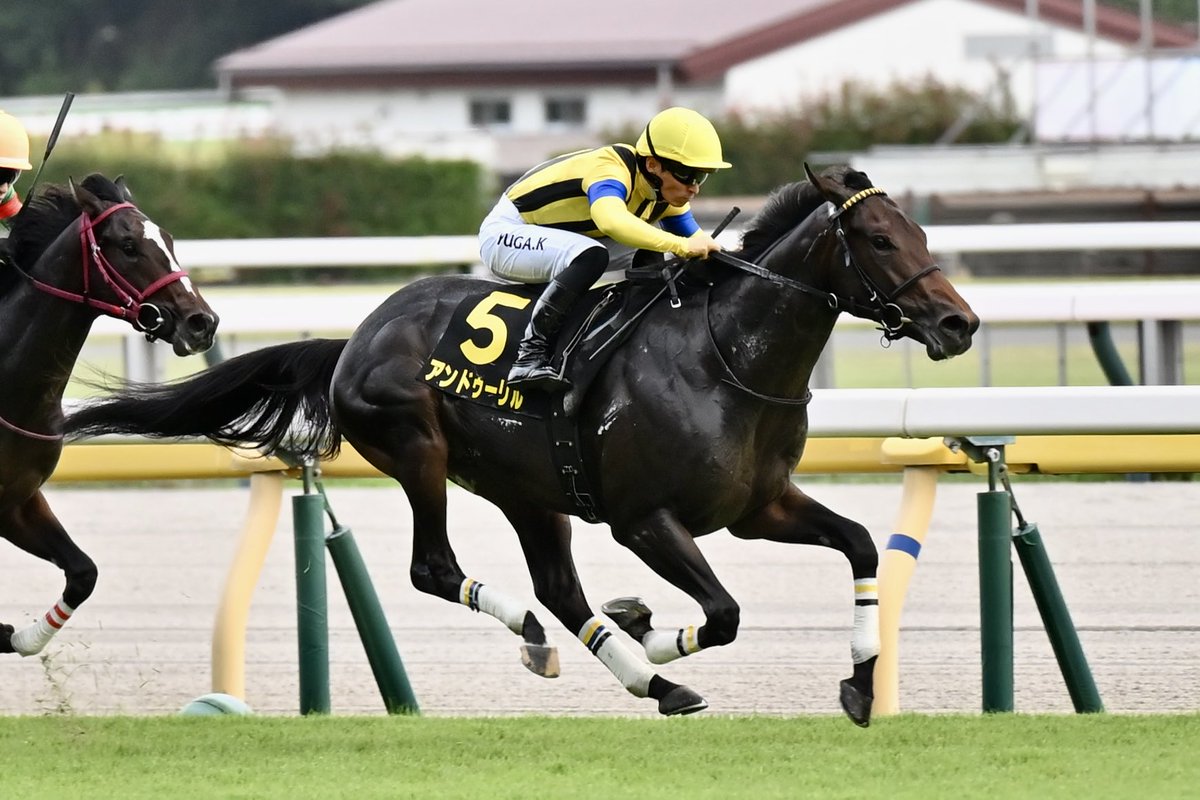 【5日19時まで延長値下げ】神椿市建設中(5種)　オルフェーヴル 中野競馬場🍦 (@orfevreinc) / X