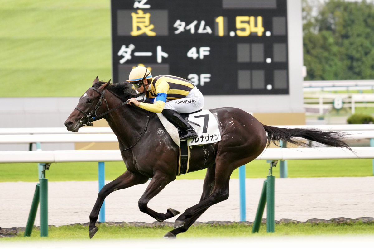 【5日19時まで延長値下げ】神椿市建設中(5種)　オルフェーヴル one_2-1.jpg
