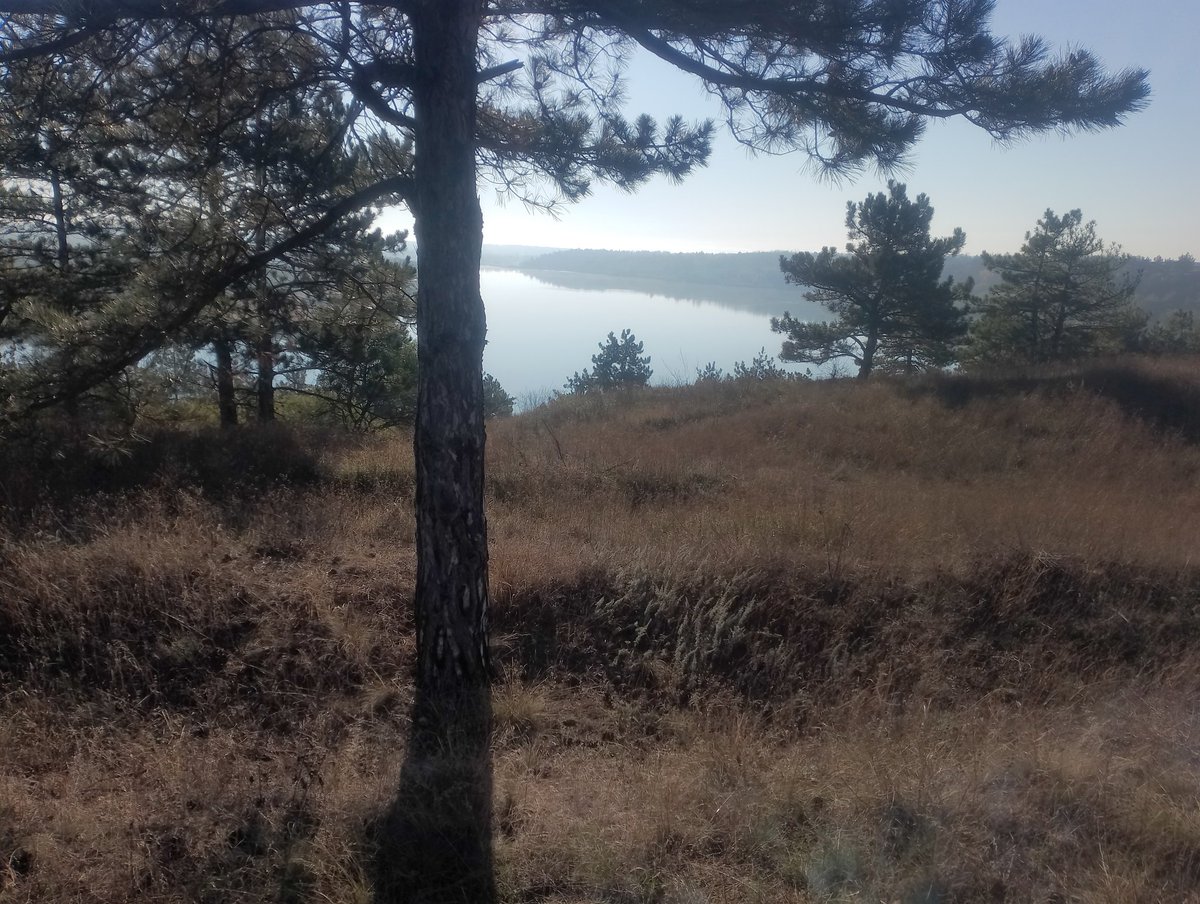 Ездили с утра за город по грибы. Добыча - несколько мышат и шампиньонов. Только виды хорошие и свежий воздух.