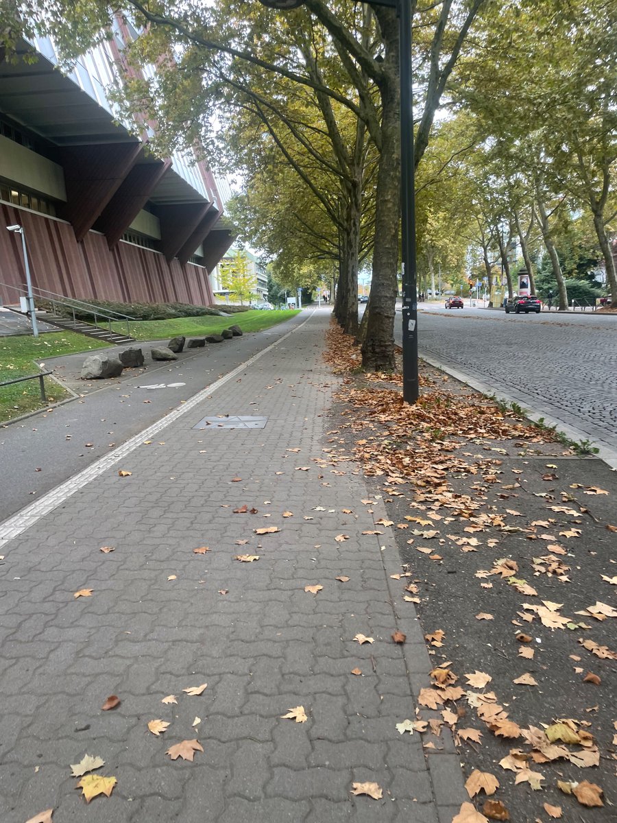 Ethan Shattock tweet media