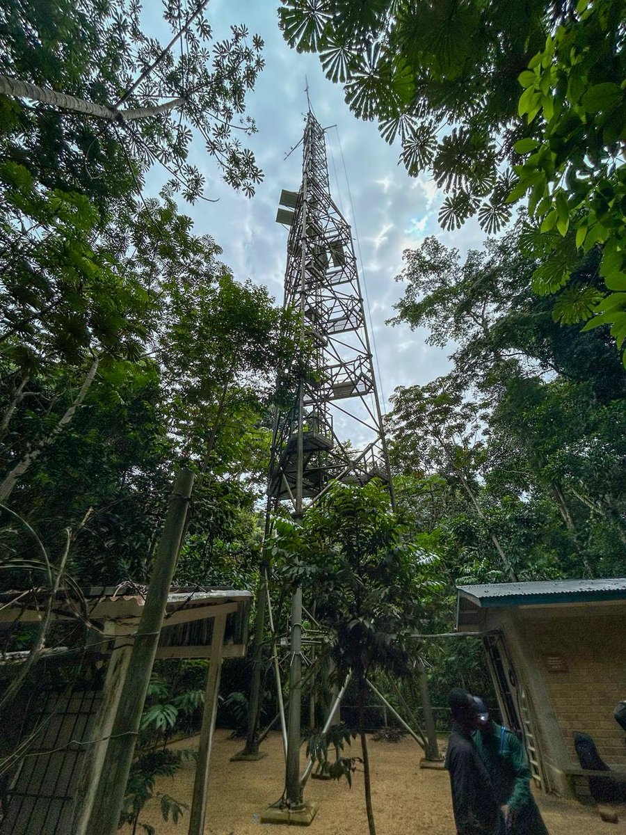BelgiqueRDCongo's tweet image. 🗼La Tour à flux, projet de @ugent avec @INERA_RDC, @BELSPO_BE et @africamuseumbe, mesure les échanges de carbone forêt-atmosphère — un outil clé pour comprendre le rôle du bassin du Congo dans le climat mondial. @pascalboeckx
#Climat #Science