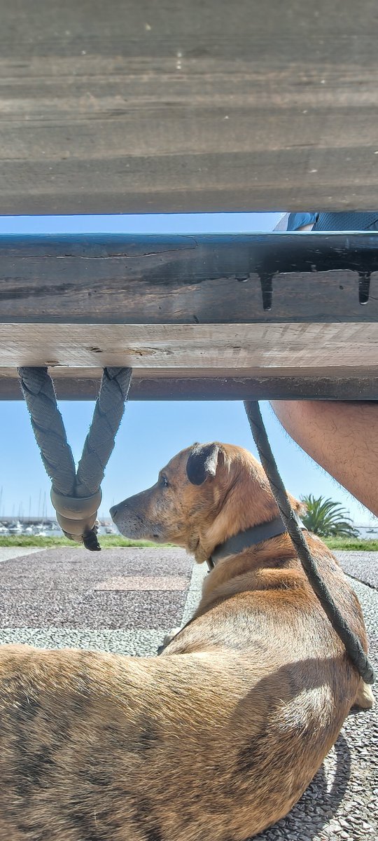 os parafusos sem sucesso (@delamondiola) on Twitter photo 