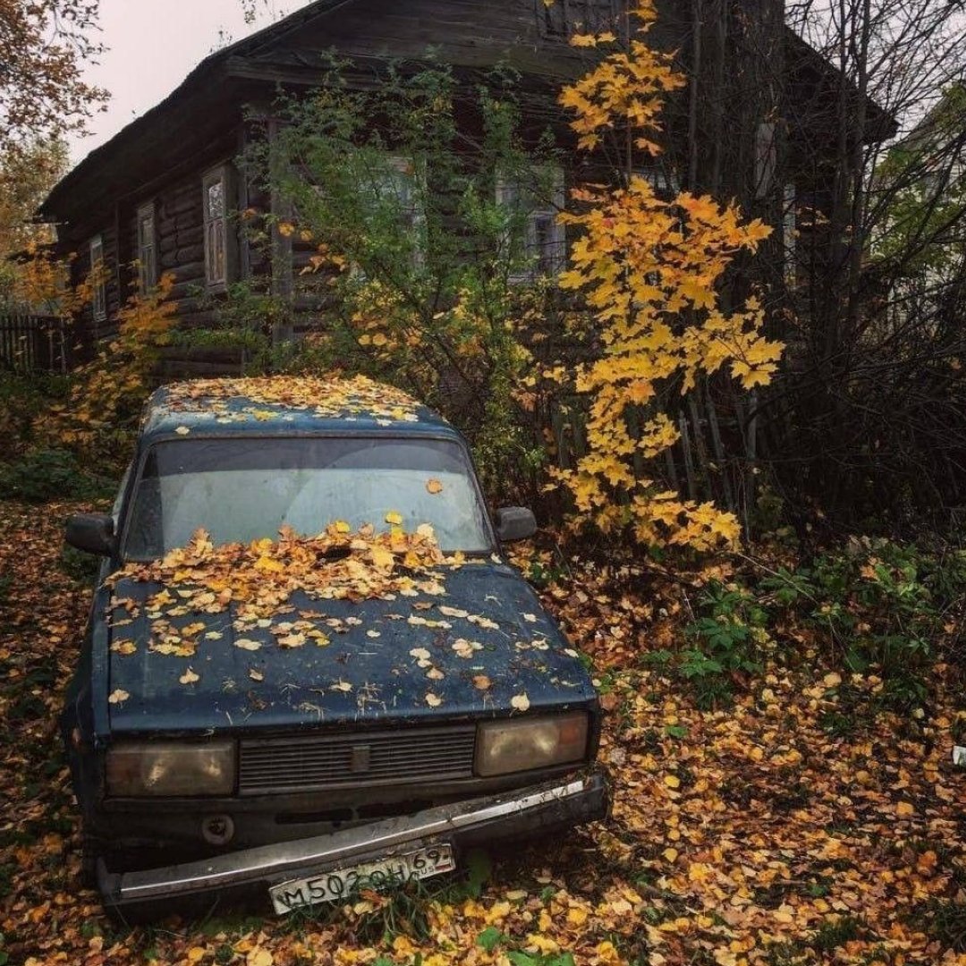 Expedition Games tweet media