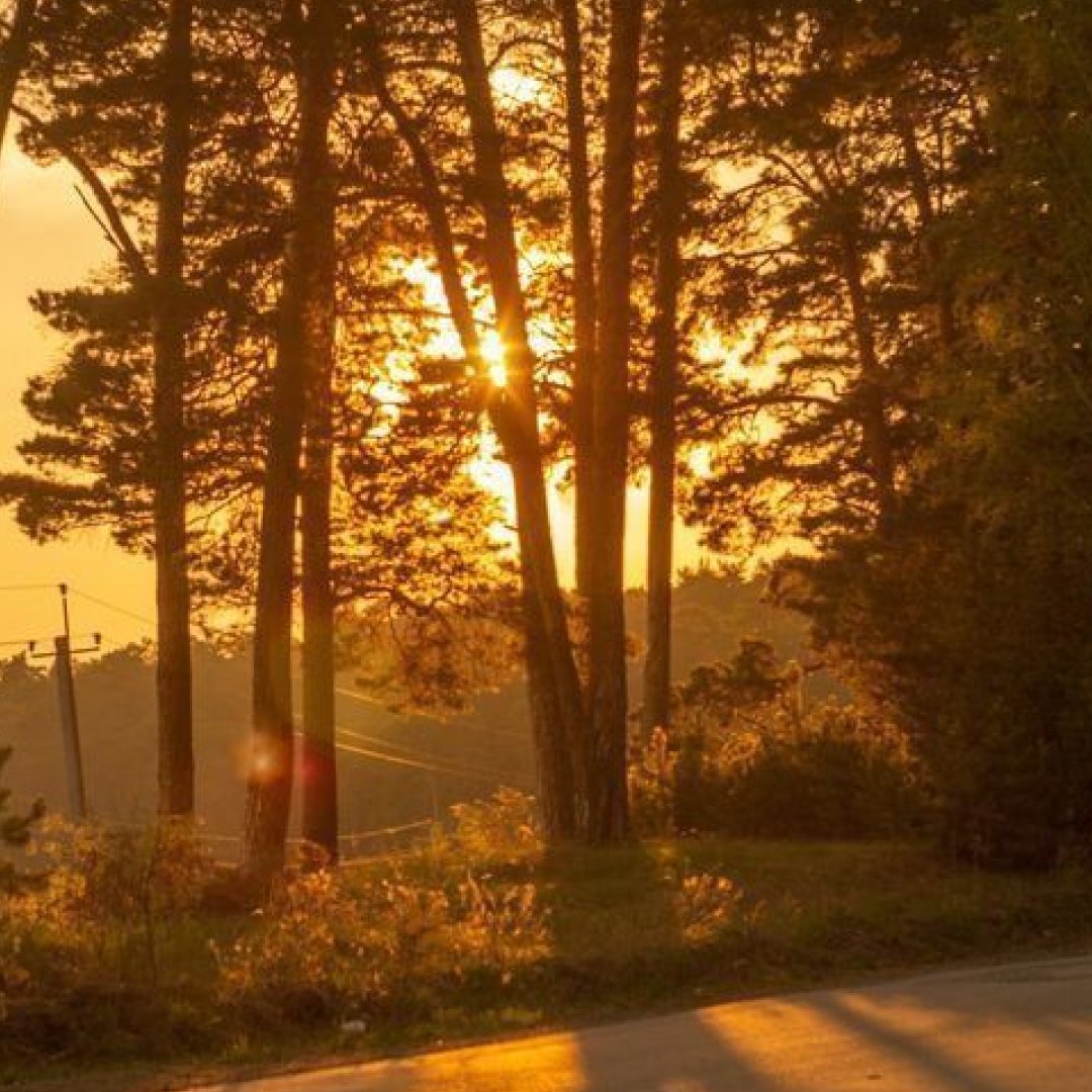 Expedition Games tweet media