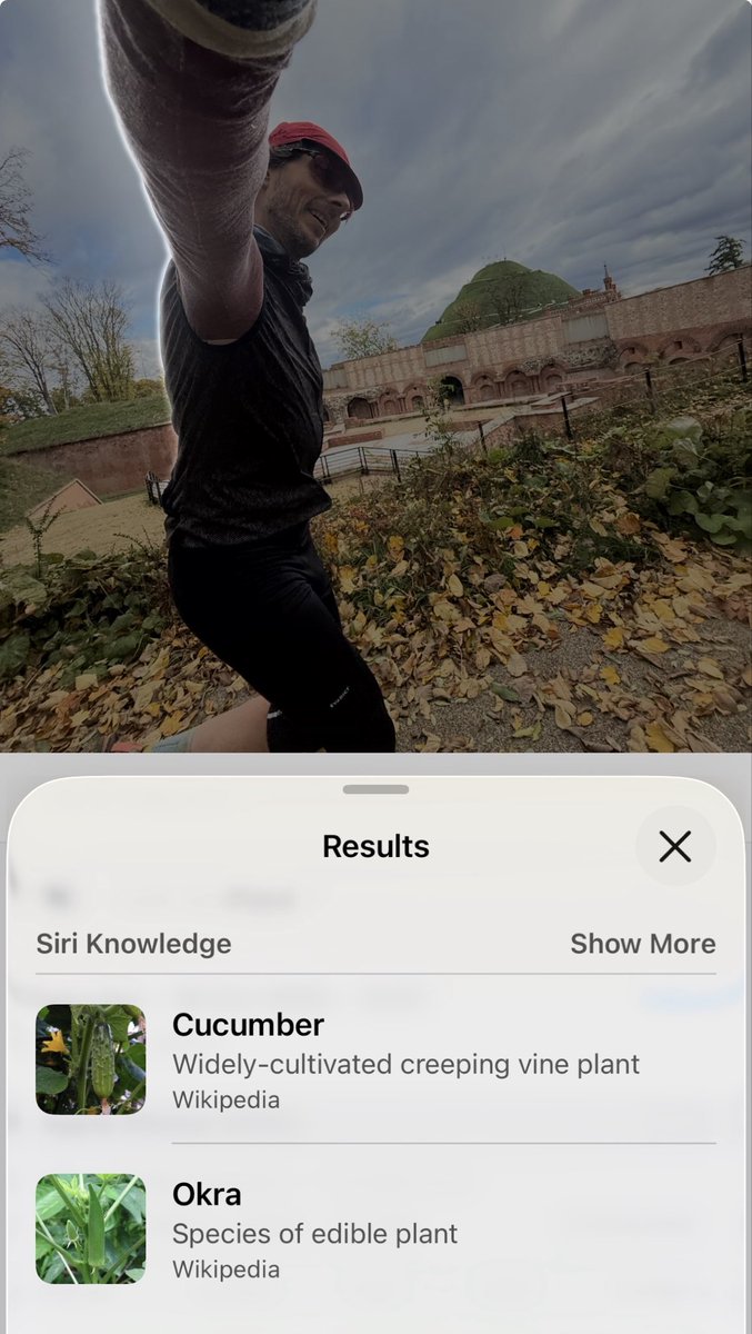 Go home Siri, you’re drunk.