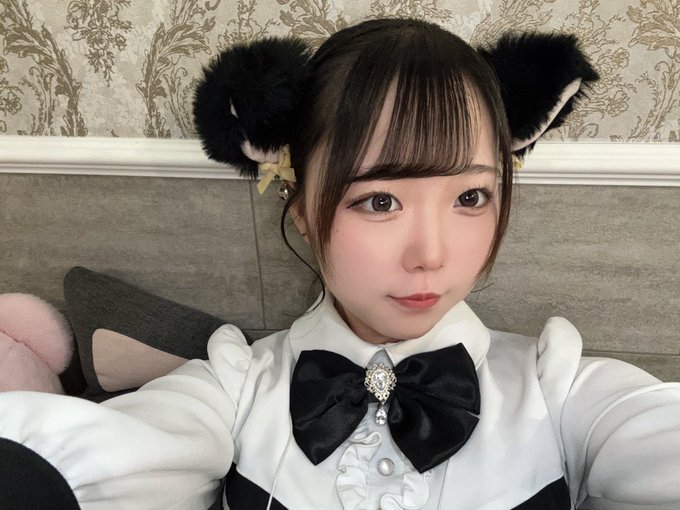 みゃおみゃお 秋葉原 コンカフェ ＆ メイドカフェのツイート