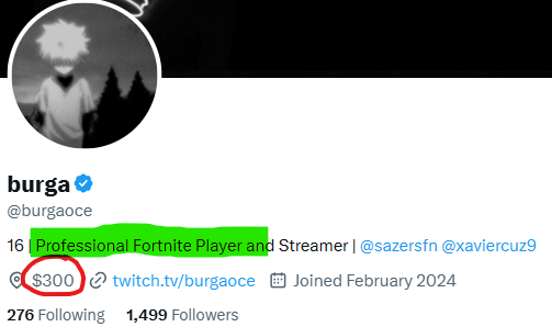 BestXFanAcc's tweet photo. @burgaoce @SaiuFn 🧐 'Professional Fortnite player' https://t.co/nqzCsxQeay