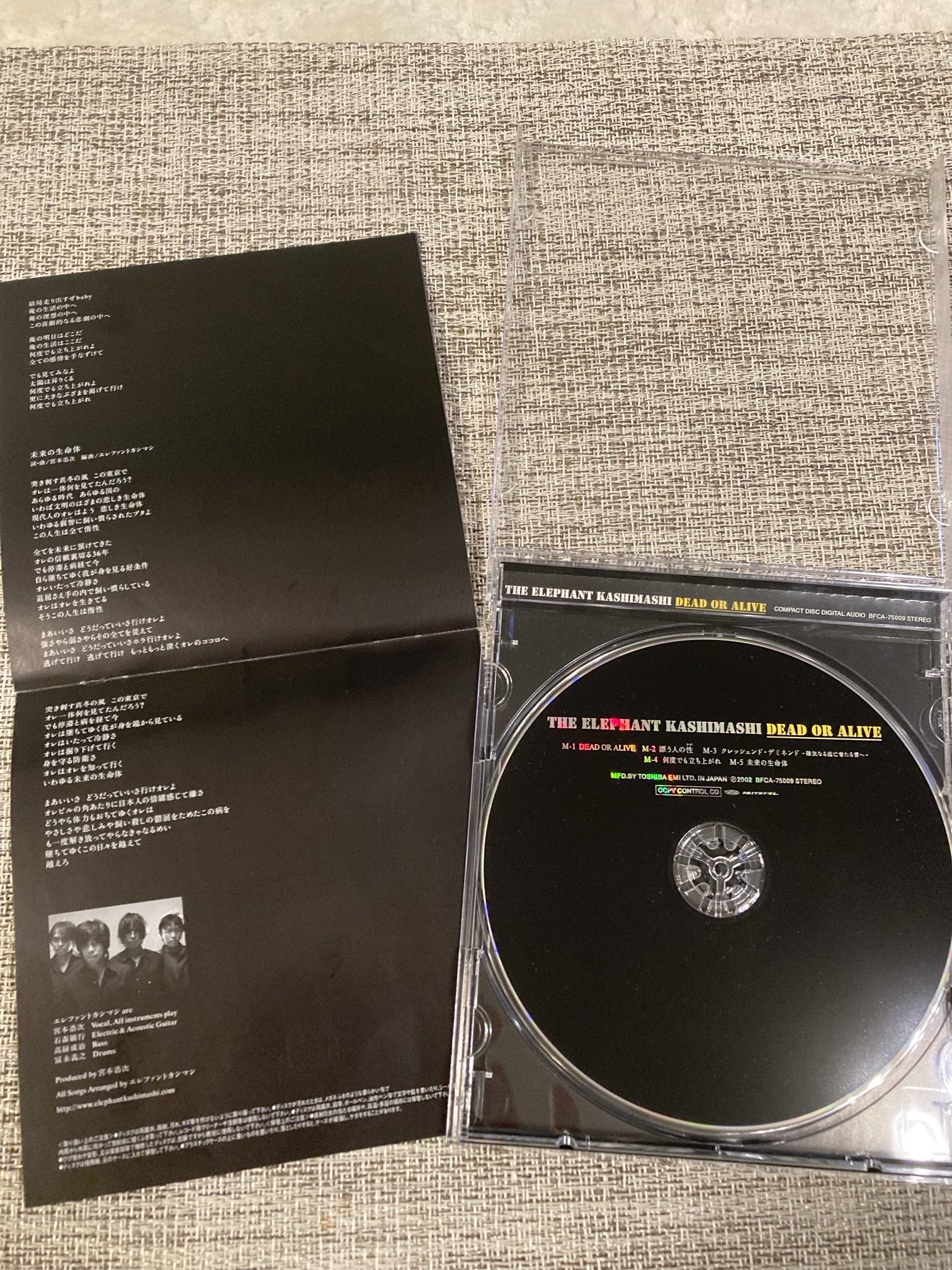 エレファントカシマシ　2002年　てぬぐい Amazon.co.jp: エレファントカシマシ デビュー25周年記念