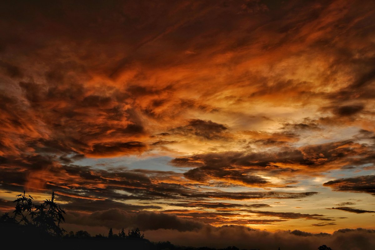 Buen día #Cuernavaca #Morelos