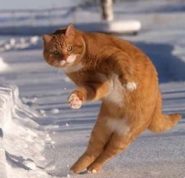 CFC_dennoh's tweet image. Pedro Neto cross.                 Josh Acheampong header.