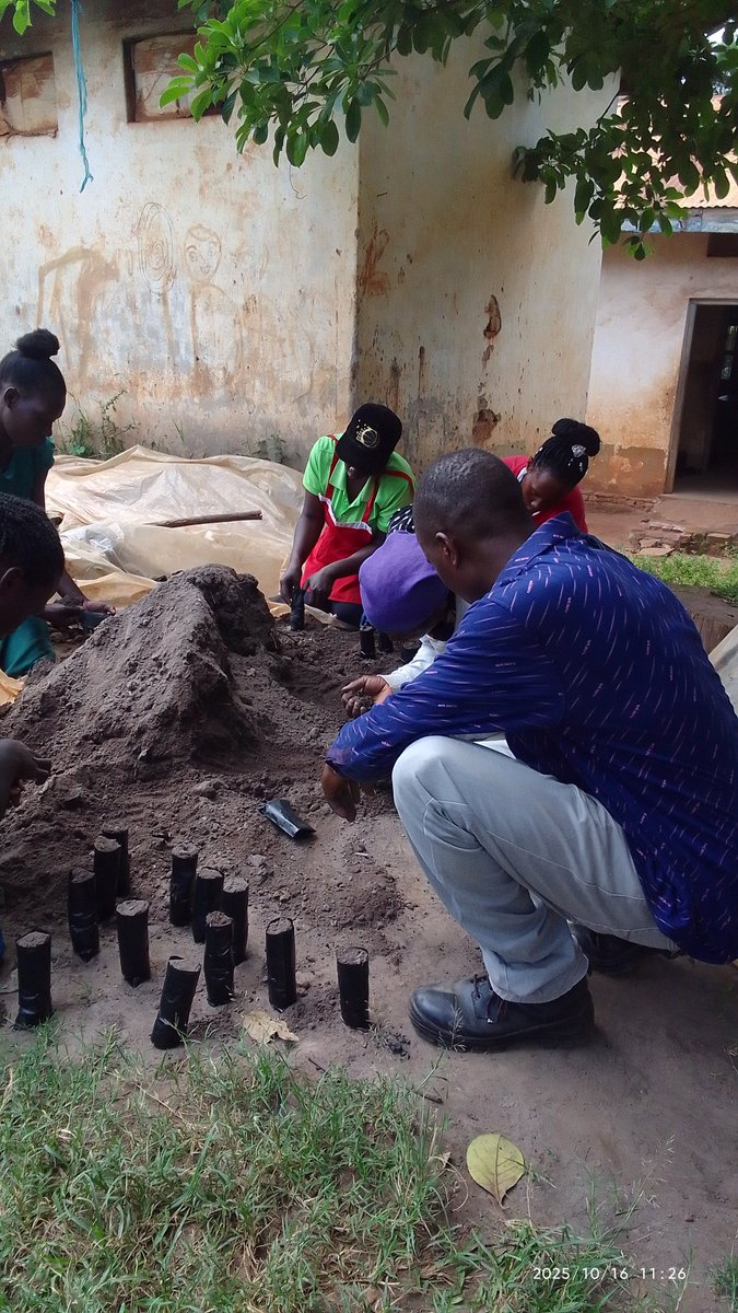 Training Community Ladies t take on tree nursery activities. We trained them on several activities like pricking, seedbed preparations, seed sowing and other nursery requirements