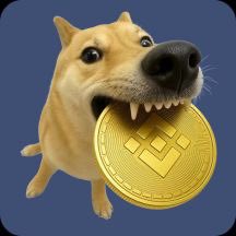 BitChanCrypto's tweet image. Load your BNB.
Sharpen your teeth.
The Dog is about to bite the chain. 🦴
thefreedomdog.com | #FRDOG